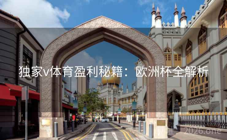 独家v体育盈利秘籍：欧洲杯全解析