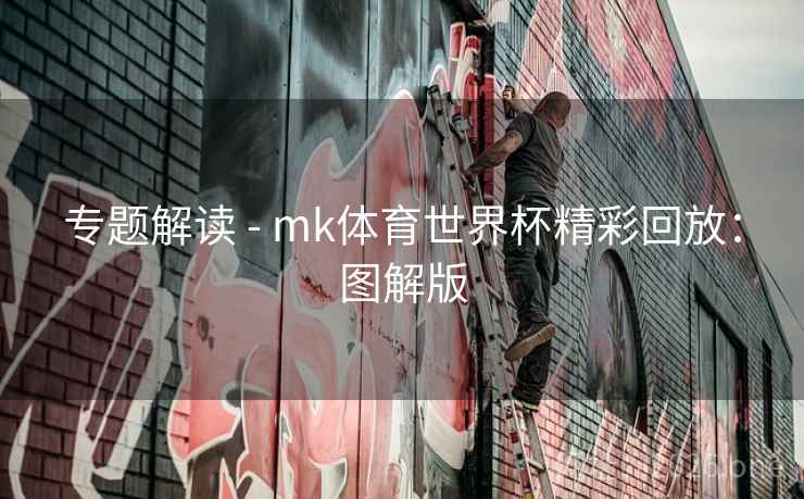 专题解读 - mk体育世界杯精彩回放：图解版