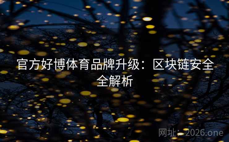 官方好博体育品牌升级：区块链安全全解析