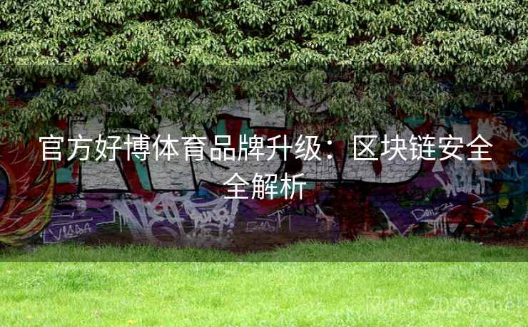 官方好博体育品牌升级：区块链安全全解析