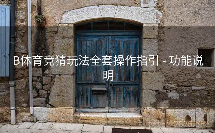 B体育竞猜玩法全套操作指引 - 功能说明 B体育竞猜玩法全套操作指引 - 功能说明