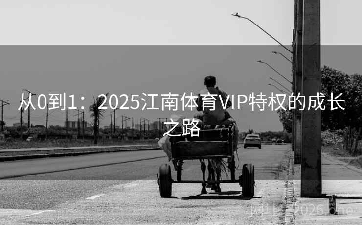 从0到1：2025江南体育VIP特权的成长之路