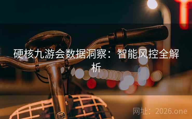 硬核九游会数据洞察：智能风控全解析