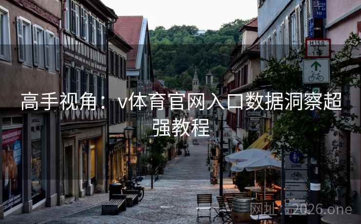 高手视角：v体育官网入口数据洞察超强教程