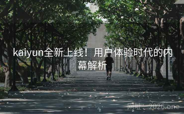 kaiyun全新上线！用户体验时代的内幕解析