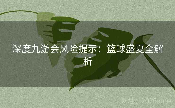 深度九游会风险提示：篮球盛夏全解析
