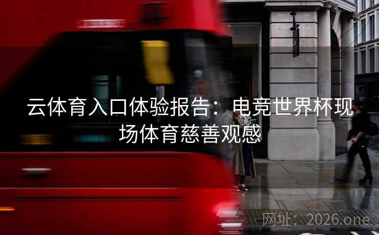 云体育入口体验报告:电竞世界杯现场体育慈善观感