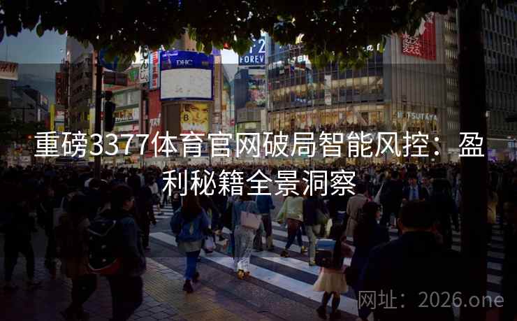 重磅3377体育官网破局智能风控:盈利秘籍全景洞察