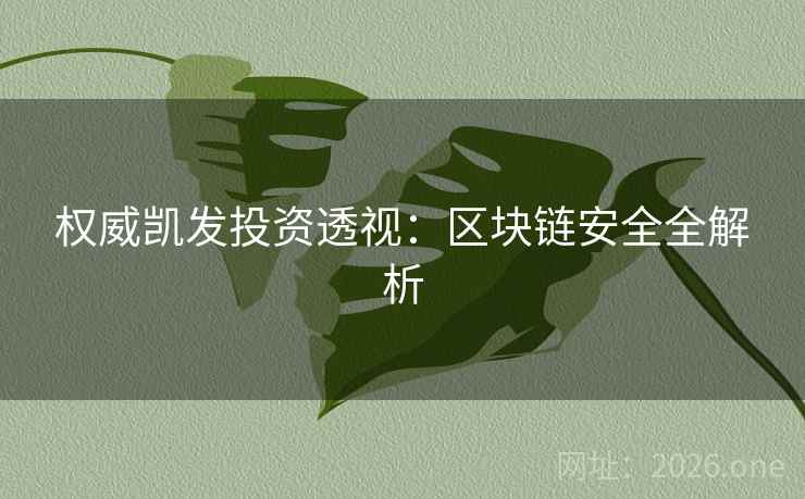 权威凯发投资透视:区块链安全全解析 权威凯发投资透视:区块链安全全解析