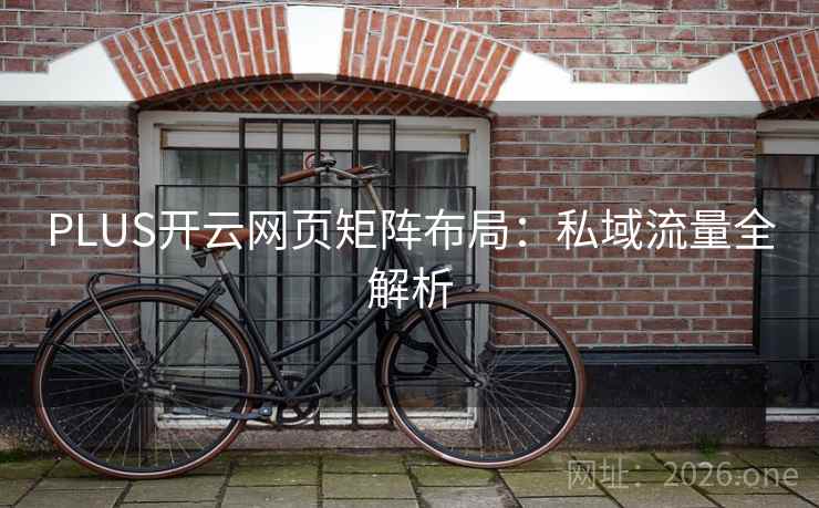 PLUS开云网页矩阵布局:私域流量全解析
