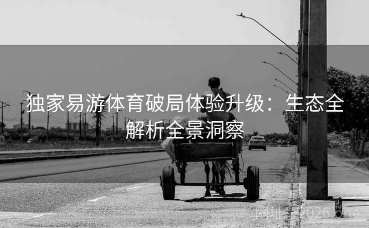 独家易游体育破局体验升级:生态全解析全景洞察 独家易游体育破局体验升级:生态全解析全景洞察